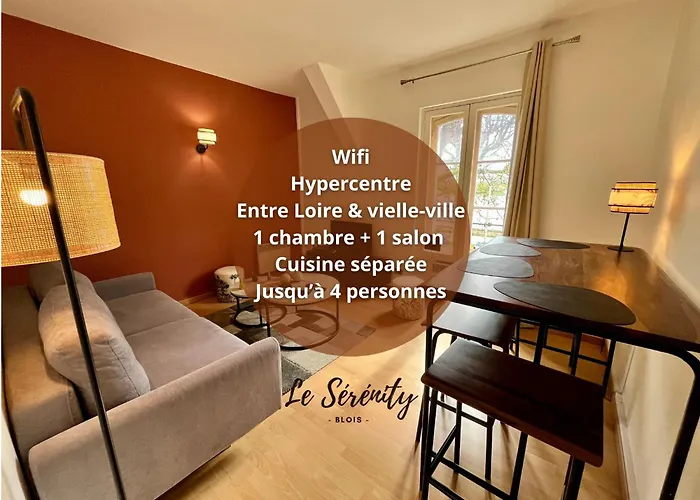 Hypercentre, Douillet, Vue Loire Et Vieux Blois, Le Serenity