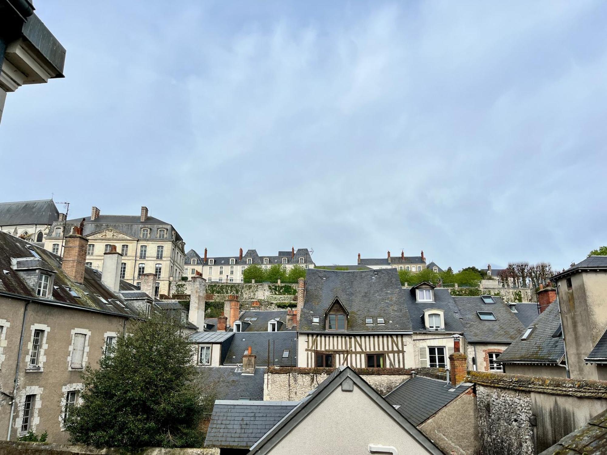 Apartment Hypercentre, Douillet, Vue Loire Et Vieux Blois, Le Serenity *