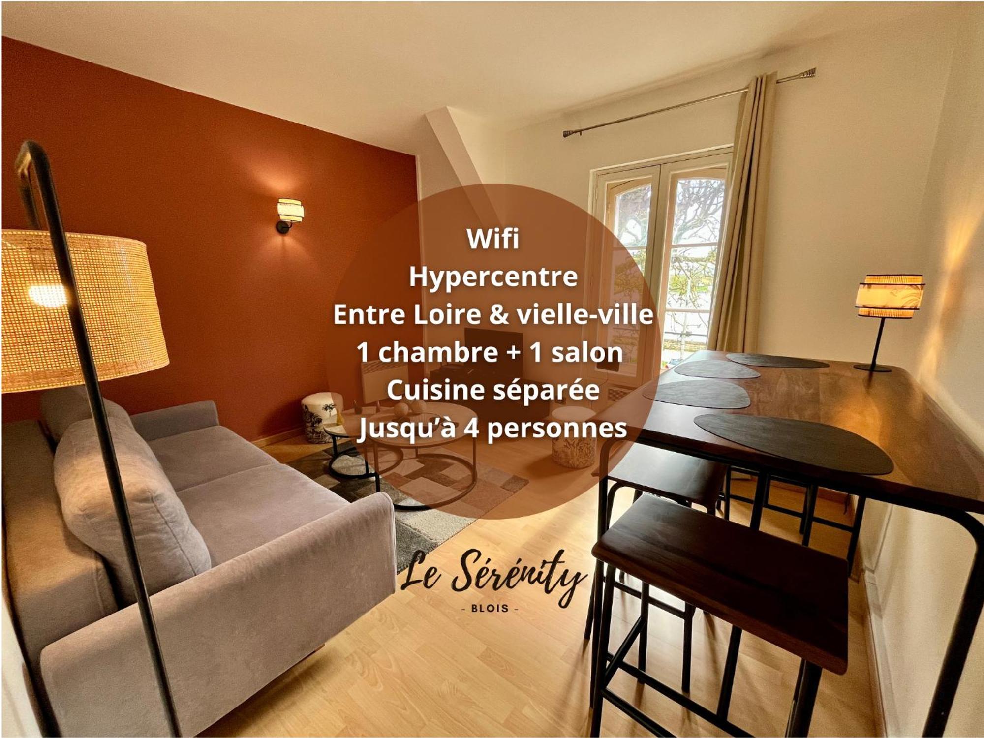 Hypercentre, Douillet, Vue Loire Et Vieux Blois, Le Serenity Apartment *